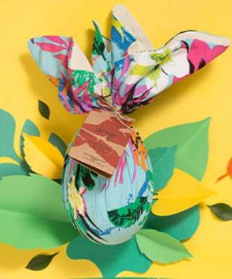 Imagem: Liv Up e Dengo se Unem em Campanha
