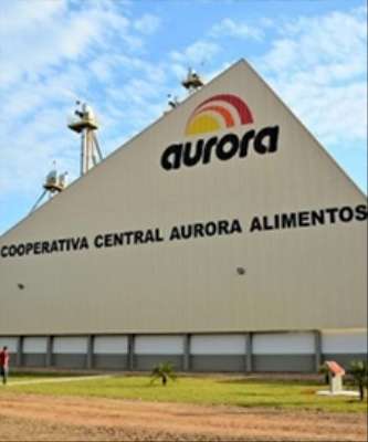 Imagem: Aurora Quer Comprar Unidade de Aves da Chapecó