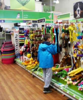 Imagem: Brasil Se Torna 2º Maior Mercado Pet do Mundo