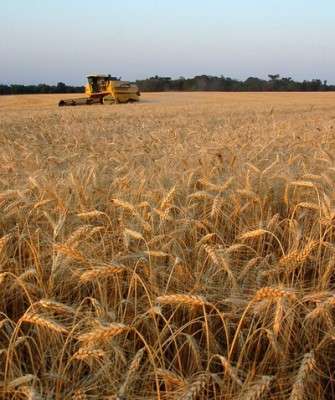 Imagem: Agronegócio Impulsiona Construção no MT