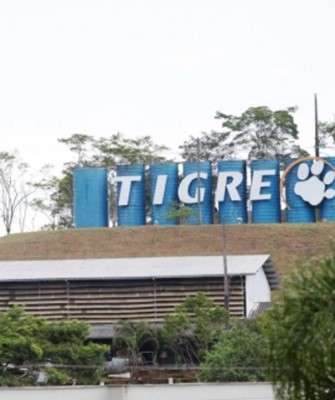 Imagem: Tigre Cria Diretoria de TI