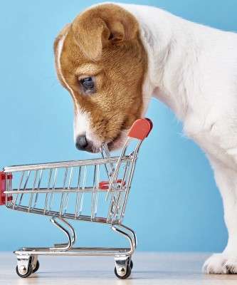 Destaque Brasil é o Segundo Maior Mercado Pet do Mundo