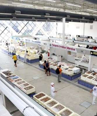 Destaque Novo Empreendimento Entra em Operação em SP