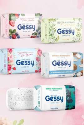 Destaque Gessy planeja novos produtos e distribuição nacional