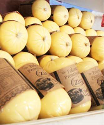Destaque Zini Cria Espaço para Venda Direta