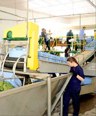 Destaque Vinícolas Investem em Novos Projetos para Crescer
