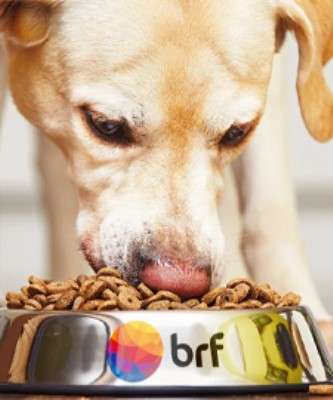 Destaque Aquisições Reforçam Atuação em Pet Food