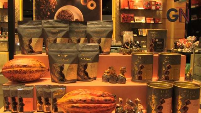 Imagem: Linha Soul Good da Kopenhagen