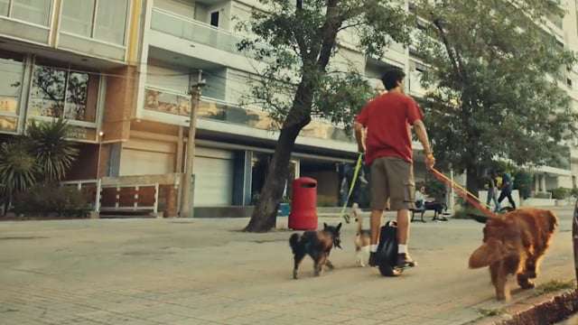 Imagem: Campanha do Méquinho